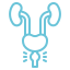 prostata