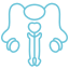 reproductive-system